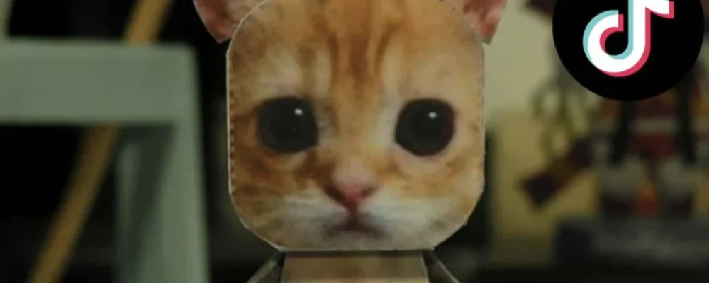 Curiosity doesn’t kill the cat—on TikTok in 2024 at least