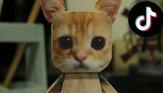 Curiosity doesn’t kill the cat—on TikTok in 2024 at least